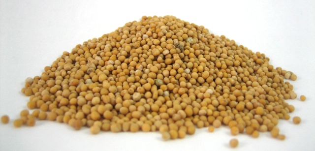 mustard-seeds