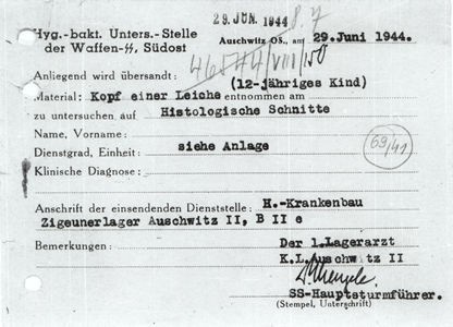 Waffen-SS hygieniainstituutille, hygienian ja bakteriologian osastolle osoitettu rahtikirja. Merkinnät ”ruumiin pää”(Kopf einer Leiche), irrotettu ”12-vuotiaalta lapselta” (12-jähriges Kind).